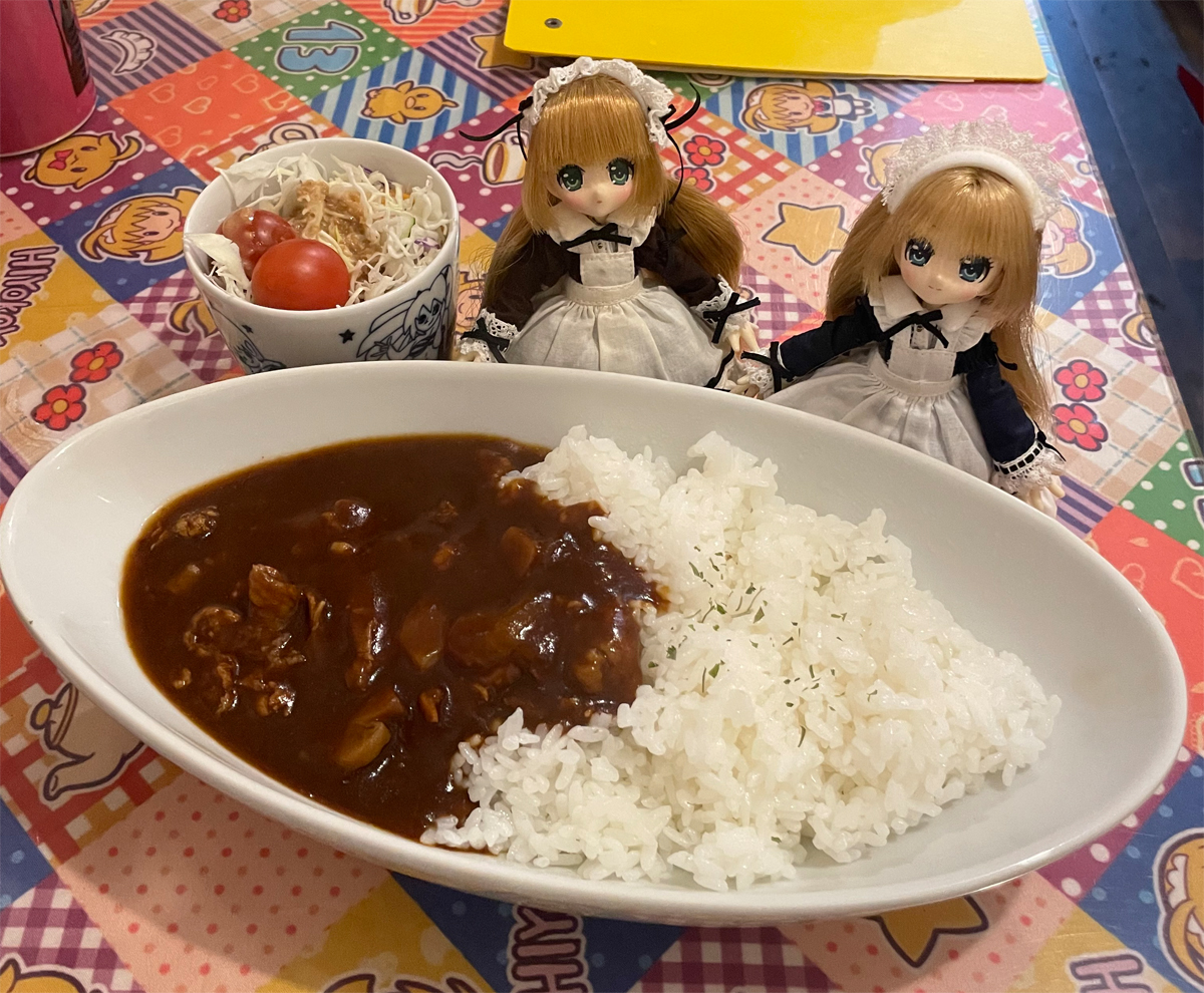 ひよこ家さんでハヤシライスのランチ。 この前の本をこっそり献本