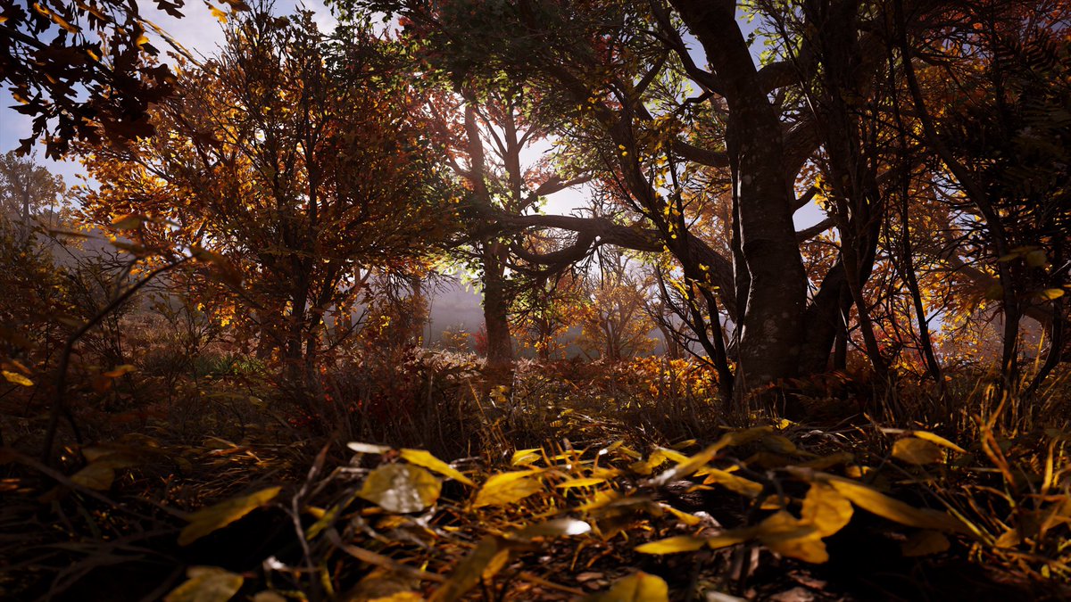 RealGame1King's tweet photo. Always liked how nice Assassin’s Creed Valhalla nature was. #AssassinsCreed #Ubisoft #AssassinsCreedValhalla #ACValhalla #PS5Share https://t.co/Do4ptbJt5z