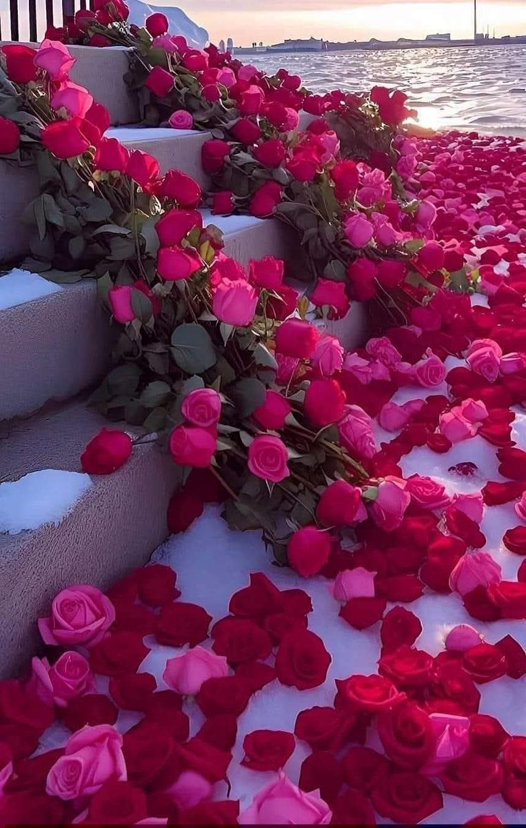samah_788's tweet photo. دائما فرض الاحترام 
أرقى من 
لفت الانتباه 
مساء الخير ٠٠٠💞 https://t.co/wBmOL5qTww