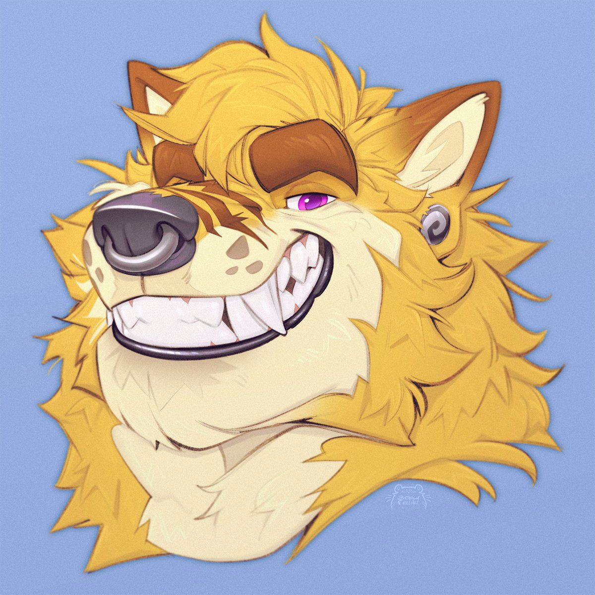 BearlyFeline's tweet photo. My! What big teeth you have! 👀 https://t.co/XG3va41SYT