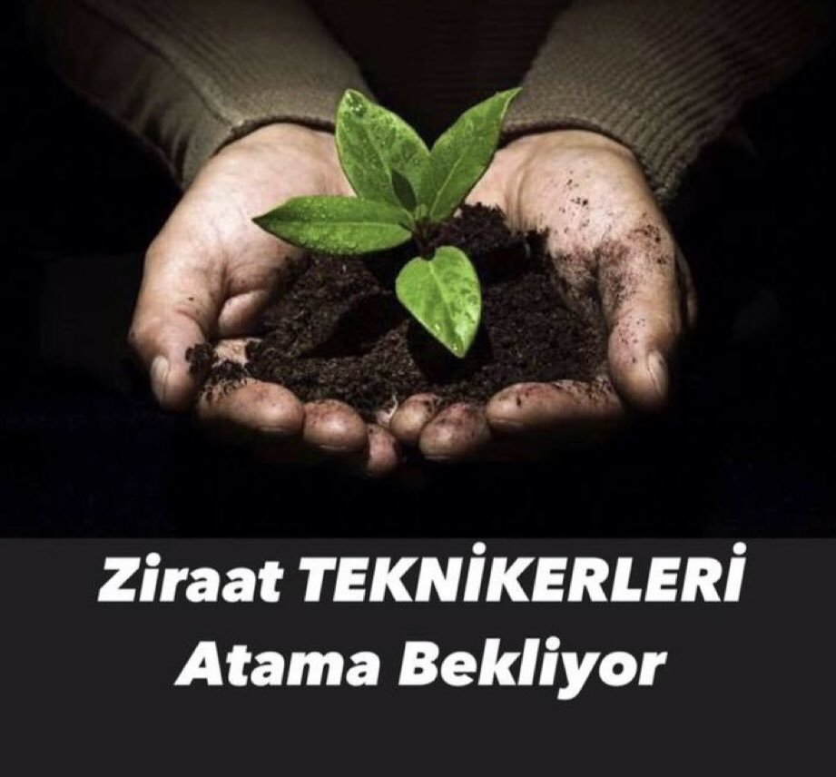 ziraattek's tweet photo. @ibrahimyumakli @OGMgovtr Sayın bakanım 2020-2022-2024 Kpss puanlarıyla Tarım Bakanlığı'na ziraat teknikeri alınmadı, puanlar boşa gitti. DSİ, TÜRKŞEKER, TMO, TİGEM gibi KİT'lerde teknikerlere daha çok şans verilmeli! Artık sesimize kulak verilmeli
@Seyfullahaslntk 

#ZiraatTeknikerleri750AtamaBekliyor https://t.co/Qi6VwPR7dH