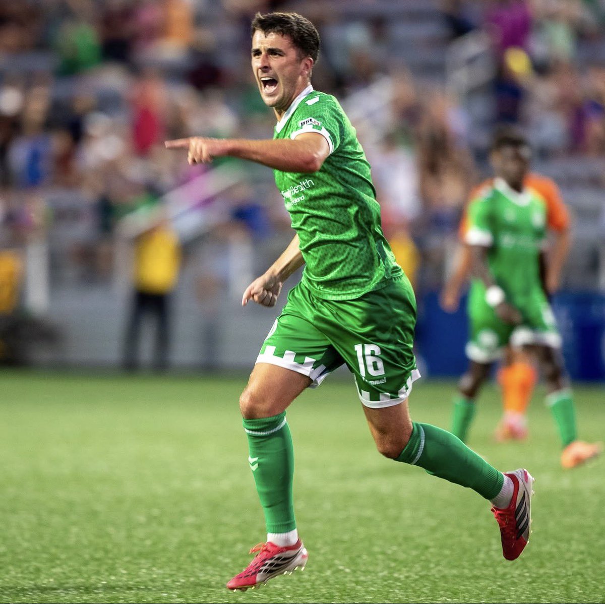 Reptracker | Conor McEvoy tweet media