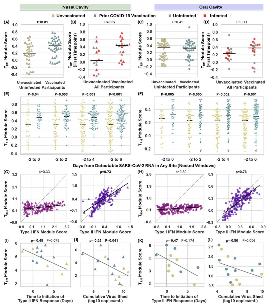 VirusesImmunity's tweet photo. How does vaccination help beyond antibodies? Vaccinated individuals had higher tissue-resident memory T cell (TRM) signatures in the nasal mucosa and mounted Type II IFN responses earlier. This points to mucosal TRM as a key mechanism — and a target for next-gen vaccines. (5/) https://t.co/iRp5Zy4CgN
