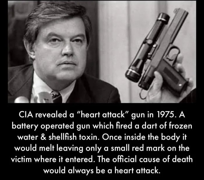 Abyssalblue02's tweet photo. @RealJamesWoods https://t.co/K8gcI1lSDL