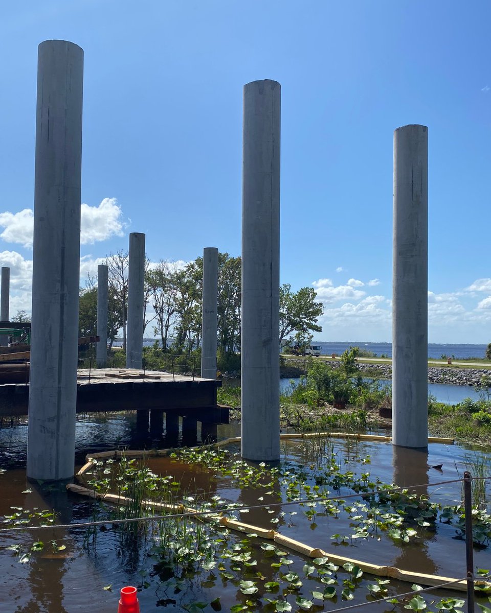 MyFDOT's tweet photo. 📷 Progress you can see!  

The new Shands Bridge is taking shape with 60-inch pile bents now in place - think of them as the sturdy “legs” that support the bridge over the river. Another exciting step forward as construction continues! 

@MyFDOT_NEFL https://t.co/TZiGjot75c