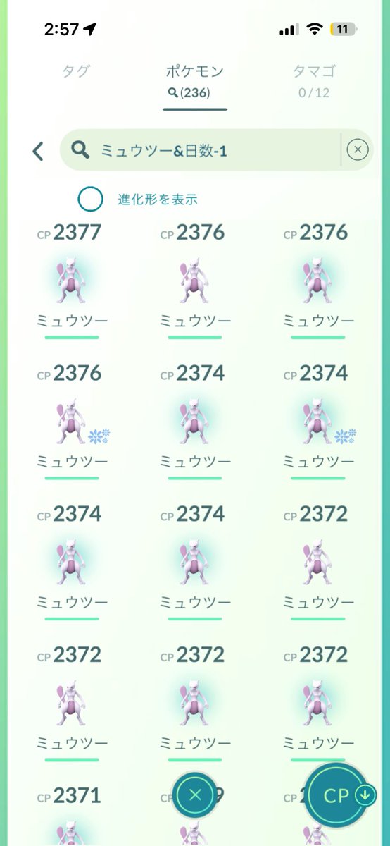 taroukusu's tweet photo. ミュウツー236体
討伐結果
個体値100 0
色違い12
色違い背景4

色違い背景は大体50〜60分の1って考えるとめっちゃ渋い気がする https://t.co/5MBX1WM6Ze