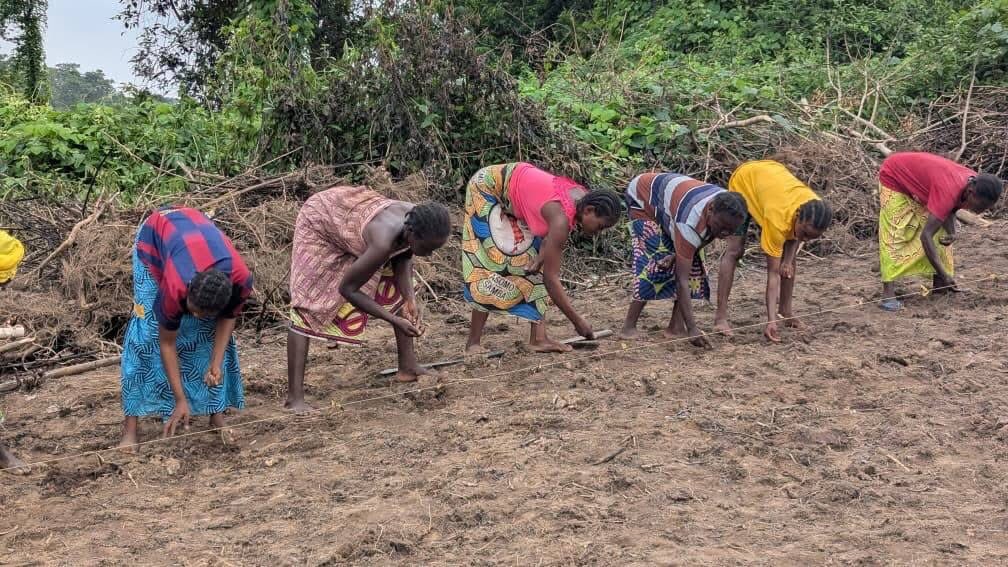 mwarumba's tweet photo. Encouraging progress under #PRUCAC2 in Mambéré-Kadéï 🇨🇫.

With @Banquemondiale support, @Welthungerhilfe is strengthening farmer capacities, supporting local agricultural extension and promoting inclusive, sustainable agriculture.

The new 0.5 ha demonstration plot in Ngaélé, developed with Aka participants and the local community, is a strong example of learning, inclusion and resilience in action.

#Welthungerhilfe #FoodSecurity #Agriculture #Inclusion #CAR, @GermanyinCMR, @UN_CAR