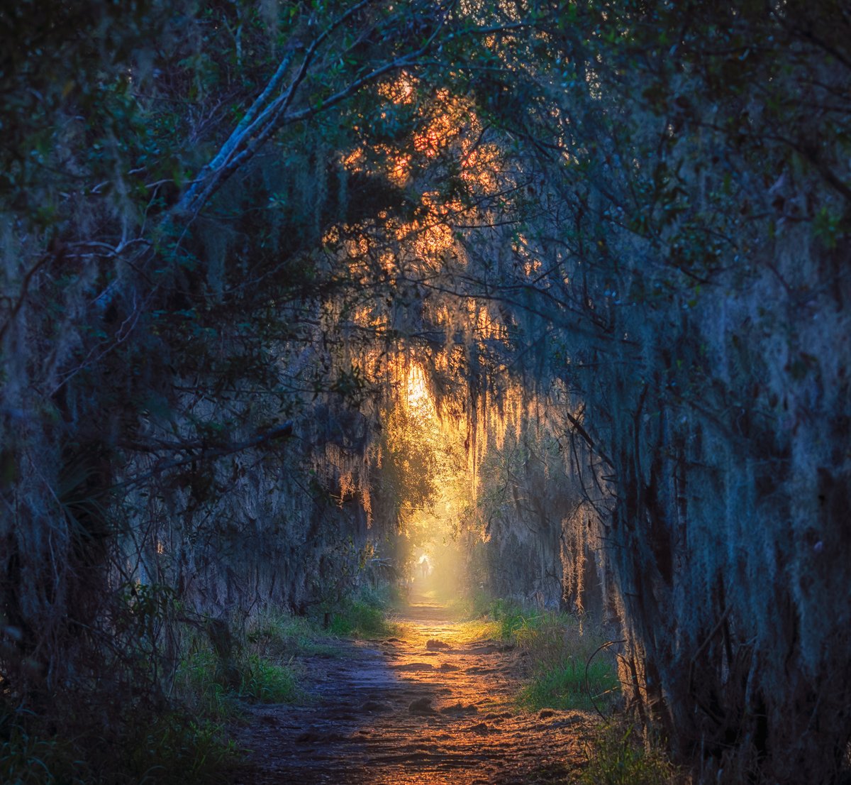 MattPaulson28's tweet photo. A path at my favorite nature spot.

Today's Photo Challenge: PATHS  What does the path lead you today?  Quote it or Share it 👇 https://t.co/pybQ9GzfYl