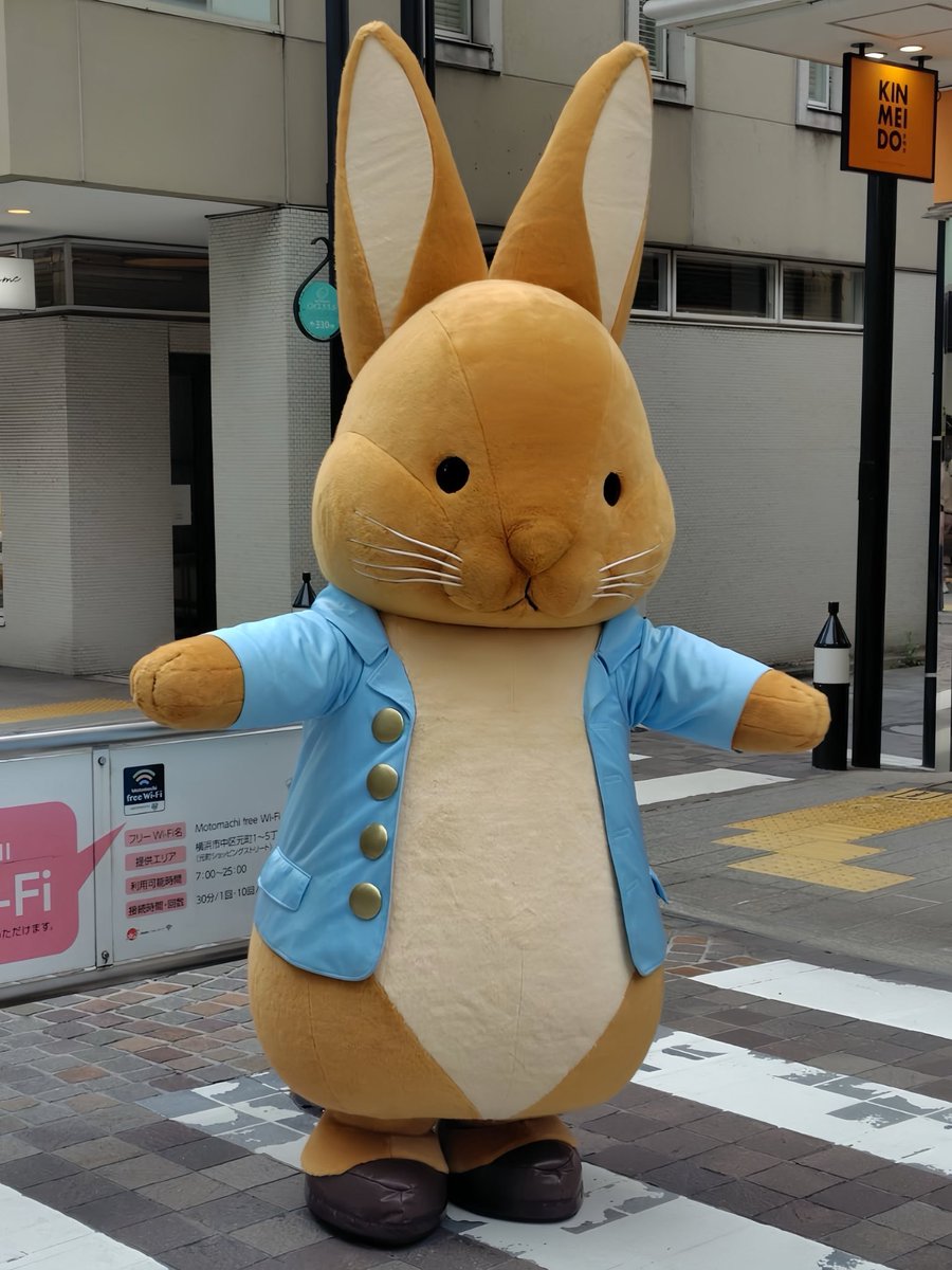 Rabbit_MooN_7's tweet photo. 2026年7月12日(日)
何かいる‼️と思ったら
#ピーターラビット がグリーティングで #元町ショッピングストリート 1丁目に居ました🤣
26日は2丁目でグリーティングだそうですw https://t.co/jkxye6GYlt