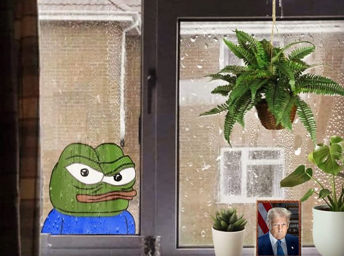 deluxe_pepe's tweet photo. If you didn't fall for the Candace Owens Psyop and know that transgenders have been MK Ultra'd to kill conservatives and MAGA 

If you need more awake Frens 

If you still trust President Trump 

Share, like, or comment and I will follow you back

Follow back each other too 

Let's stick together