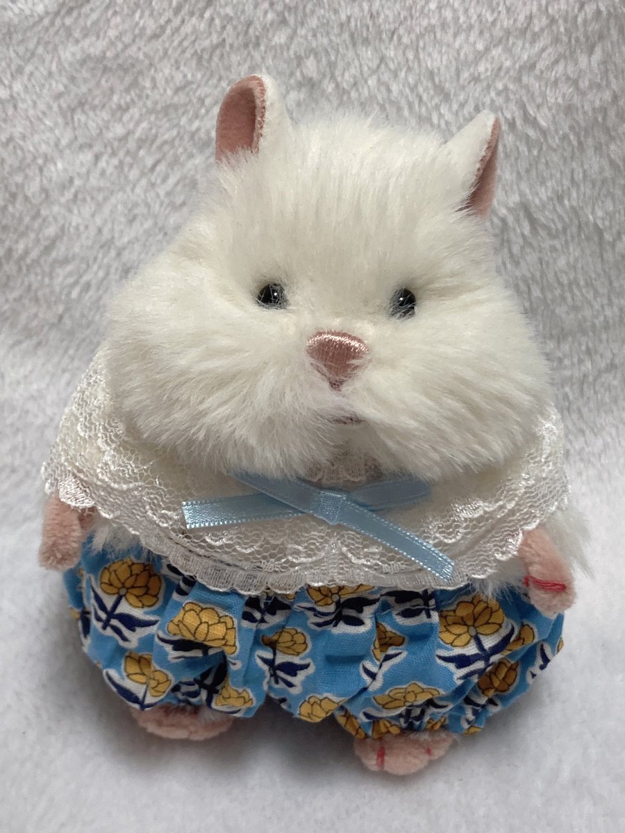 🐹 かわいぃ？ #はむにぎり
