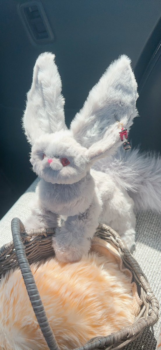 Gavu1031's tweet photo. #生き物作家さん集まれ2026 
ケモノの子という主様の傍に寄り添えて、触れられるアートドールを生み出してます(   ᐕ)💝

いやぁ〜ケモノの子をモフれるって良きなんですよぉ本当に（＾ω＾ ≡ ＾ω＾）✨️

( ˙꒳​˙  )あるじ…🤦🏻‍♀️💦
ハロ(ケモノの子は完成するまで試行錯誤しながらオリジナルの子を作ってるよぉ💝だから、同じ子は居ないんだァ✨️)

 #ケモノの子 #ケモノ #アートドール #ハンドメイド作品 #幻獣  #ぬいぐるみ人形