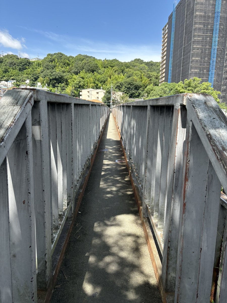 max470119's tweet photo. 午前中は宝塚市と西宮市の境目辺りにある日本一？横幅が狭い橋を見に行ってきました。
幅約60cmとのこと。
昼から長女のバレエの発表会を見に行き帰宅が遅くなったので駅前にある大衆食堂へ。
注文したのは親子丼定食。
蕎麦が純白そばと変わった蕎麦でした。
ｺﾞﾁｿ━(人>▽<｡)━ｻﾏﾃﾞｽ https://t.co/PjB35GEuwj