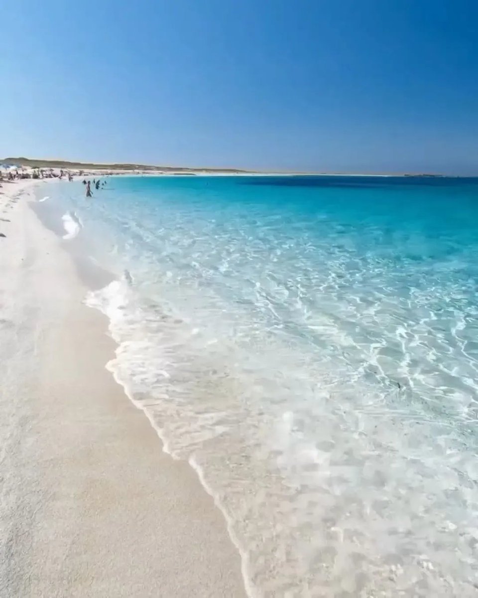 Travel Guide tweet media