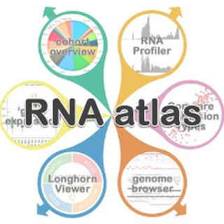r2_microarray's tweet photo. Discover the R2 RNA Atlas: an interactive portal to explore coding and non-coding RNA expression across 300 human tissues and cell lines.
🔬 https://t.co/WEwf4cCsZ3
Great companion to ENCODE
#RNAseq #Genomics #Bioinformatics #ncRNA #lncRNA #miRNA #OpenScience https://t.co/BVOZXUgTBG