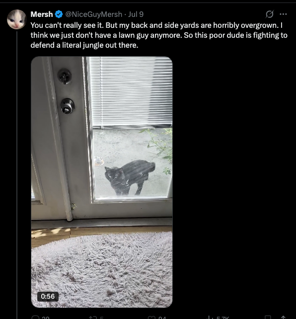 JESSE P-S tweet media