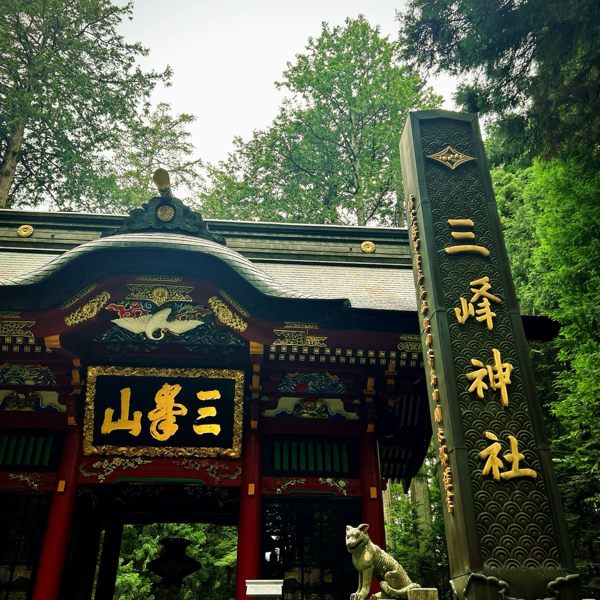 river___'s tweet photo. お参りでこの表現はどうかと思いつつ、心から楽しい1日でした。
秩父の神社、白い鳥居が特徴的。三峰神社は何時行っても美しい。標高が高いからか涼しくて清廉な空気を感じたな。三峰神社からの帰りに野生の鹿🦌を目撃するイベント発生。野生の鹿に出会ったの初めて。御礼参りできて良かった！ https://t.co/oaEV4DFtoR