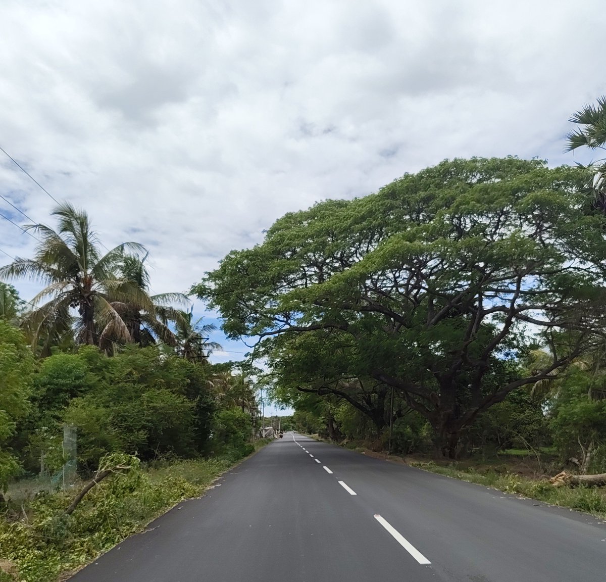 praveencpt's tweet photo. The best journeys begin with a quiet road

#nature #sunday https://t.co/TO4KPMDci2