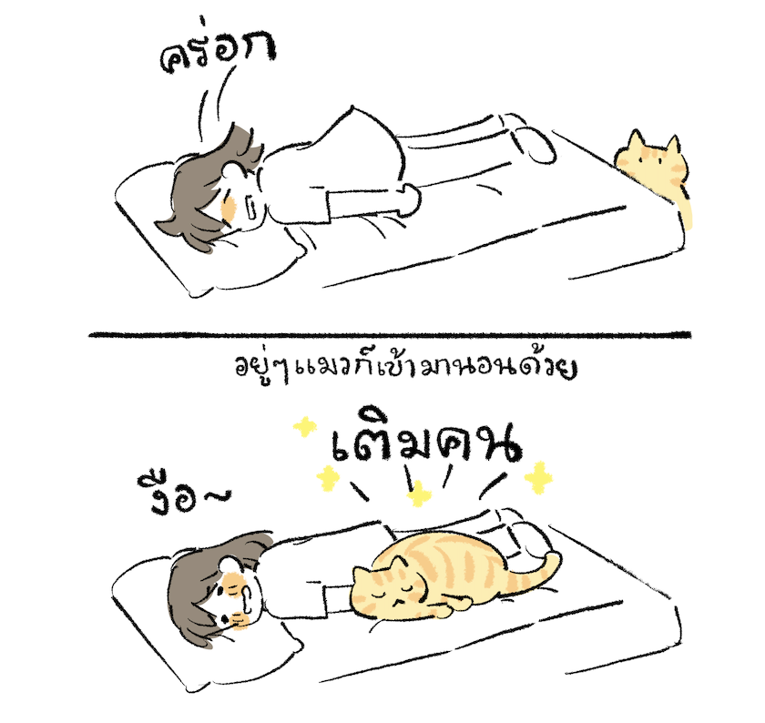 prema_ja's tweet photo. เรื่องประทับใจเล็กๆ ช่วงนี้ ☺️
#เรื่องแมวมีอยู่ว่า https://t.co/8ExxpCmIIt