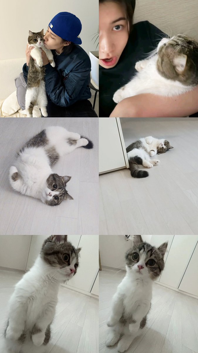 4sholilie's tweet photo. louis's hunter updates 🥺🥺 https://t.co/ATwVB9Ykp2