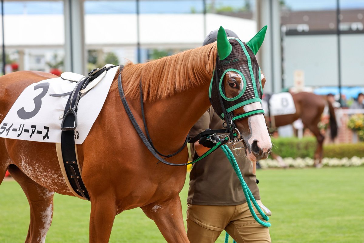 mint_chestnut's tweet photo. 2026/6/27 函館5R 2歳新馬
#ライーリーアース
父 #ハイランドリール
母 #トーセンリスト
母父 #ノヴェリスト
#蛯名利弘 厩舎
馬主 #島川隆哉
生産 #エスティファーム
#原田和真 騎手 https://t.co/KhZFVjqKJZ