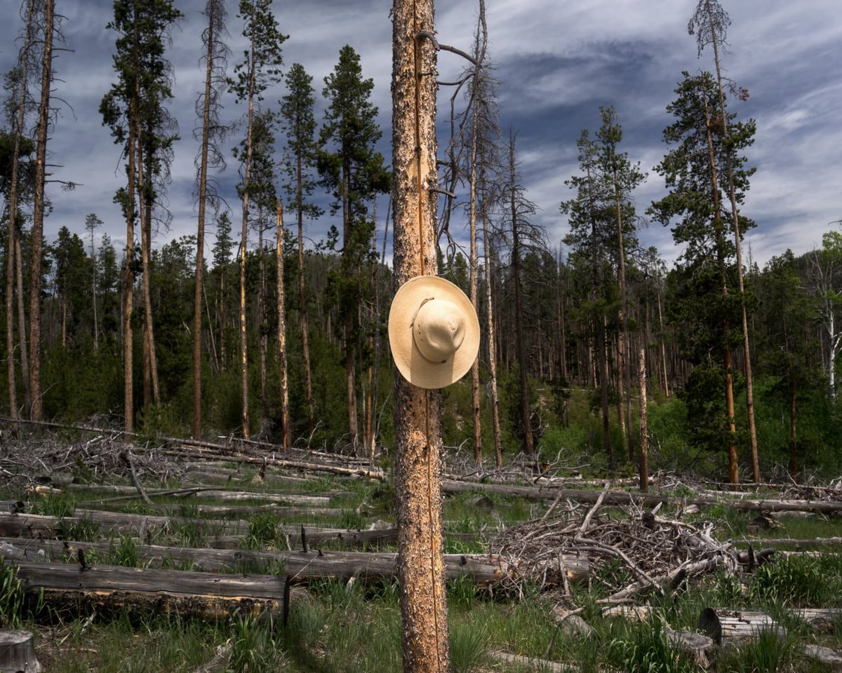 sovietsoleri's tweet photo. Found a great American photographer. Carbon County series by John Sanderson. https://t.co/8SbZ7wTOf5