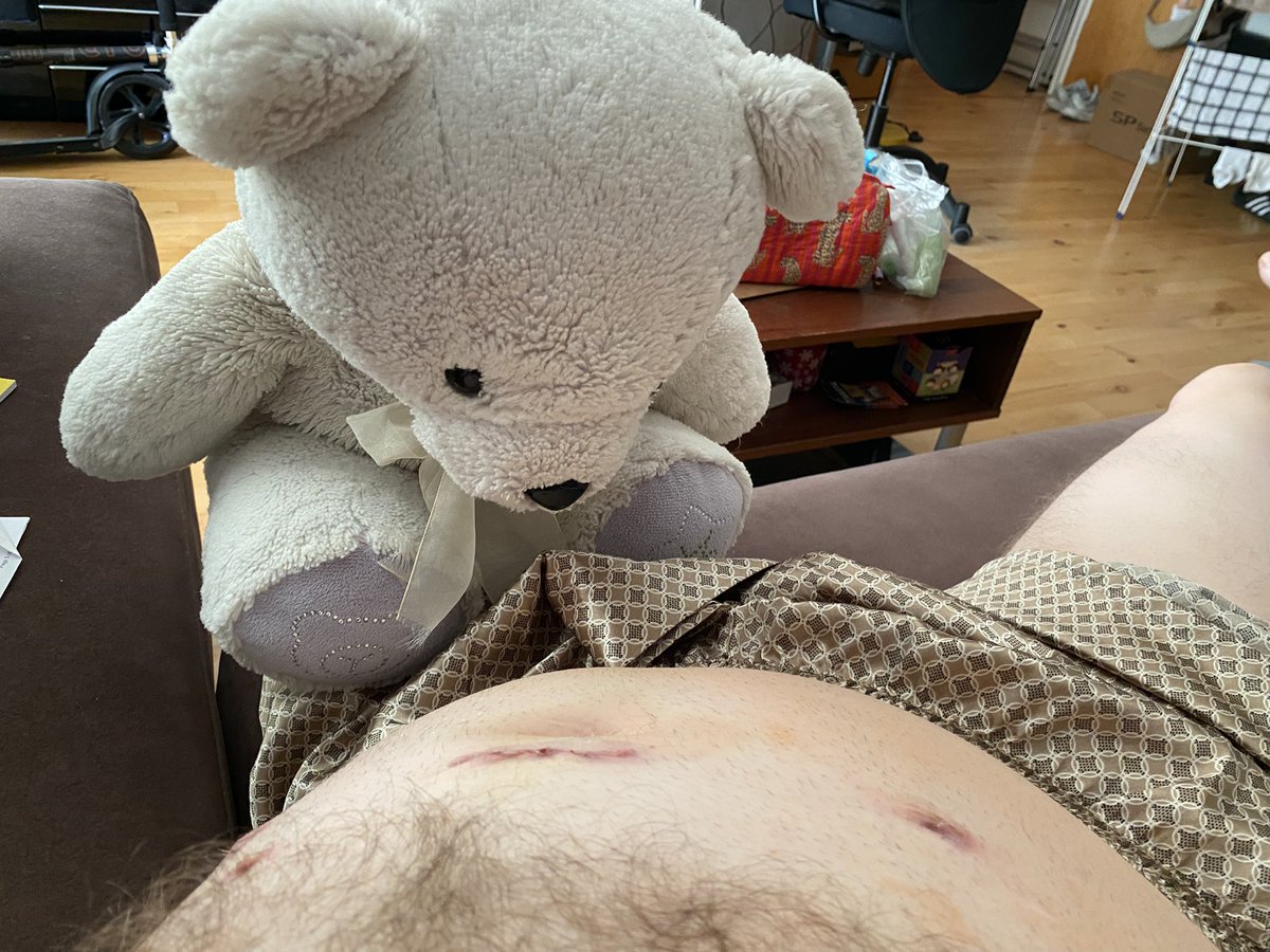 OliverdePeyer's tweet photo. On day 938 of #BigWhiteBear's #VigilForHumanity,   BWB 🐻‍❄️ has taken over from DD The Pig 🐷 to invigilate the #RadicalProstatectomyPetHuman. He has carried out an assessment under the #BearWay: https://t.co/WSXlMqgpLl