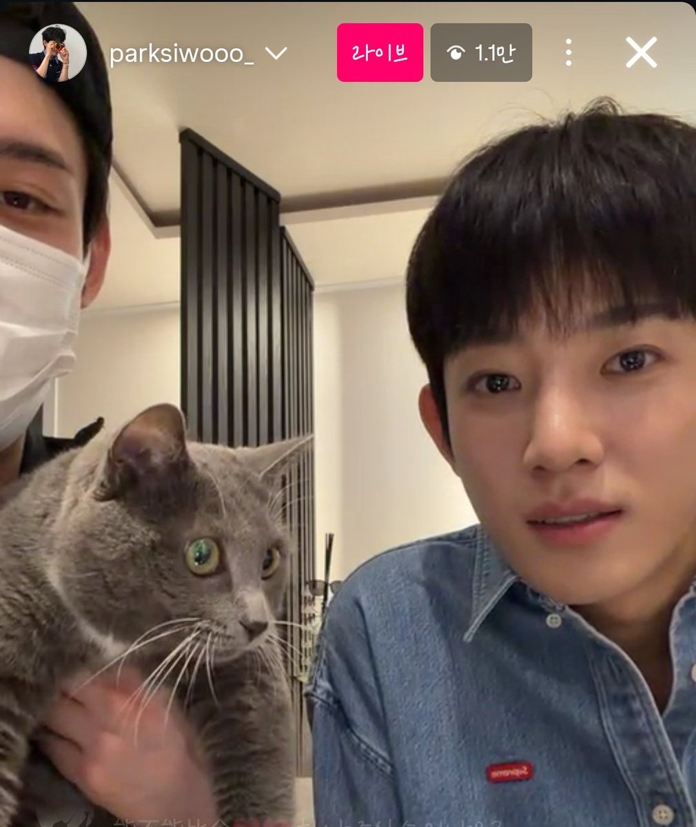 sibbleekee_09's tweet photo. 쓰리샷 가족사진일줄은 상상도 못해찌....🫢😇 https://t.co/WpF4CmzwOH