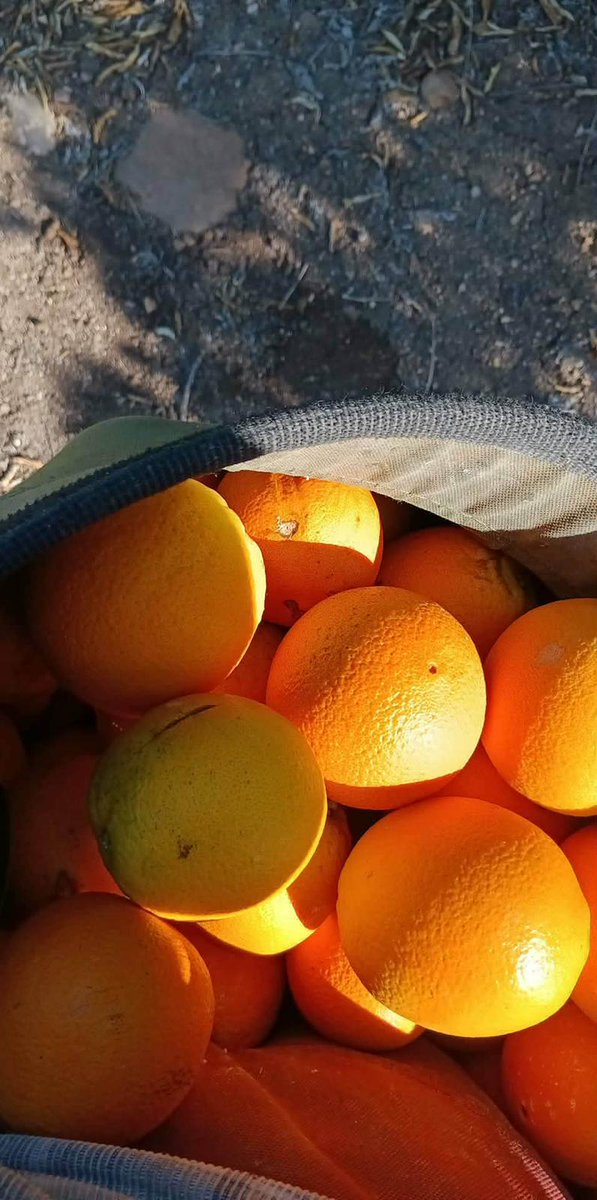 United Farm Workers tweet media