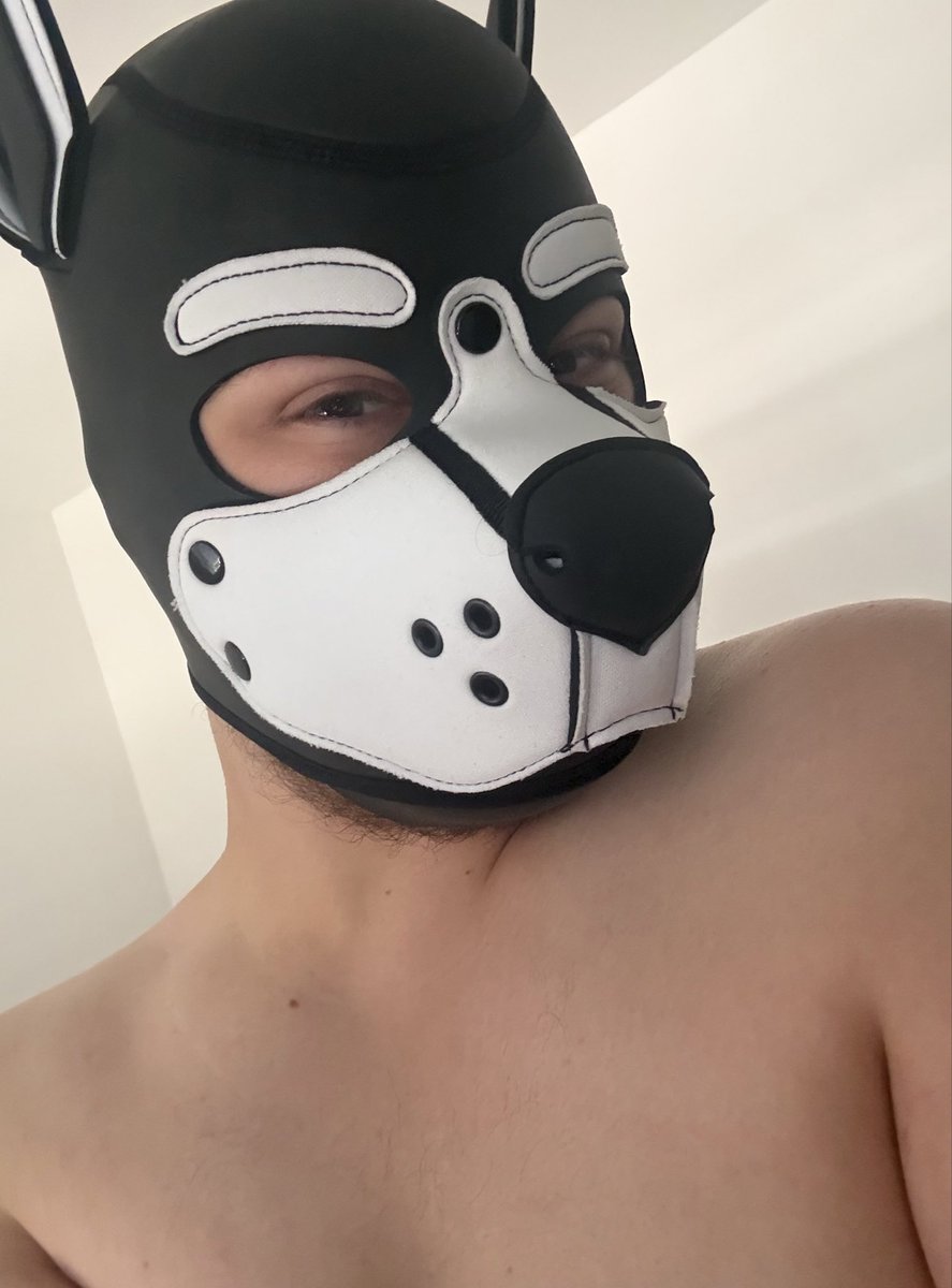 Pup_Atlas03's tweet photo. 🐶 Wrrufff! 🐾 Ooo how are we feeling about the while muzzle guys? I still think my green one is prettier but I don’t hate this look too 😁😌🙃
#pup #puppyboy #pupplay #diaperpup #abdlpupplay #diaper #diaperpuppy #abdl https://t.co/HWAOO25Mi4