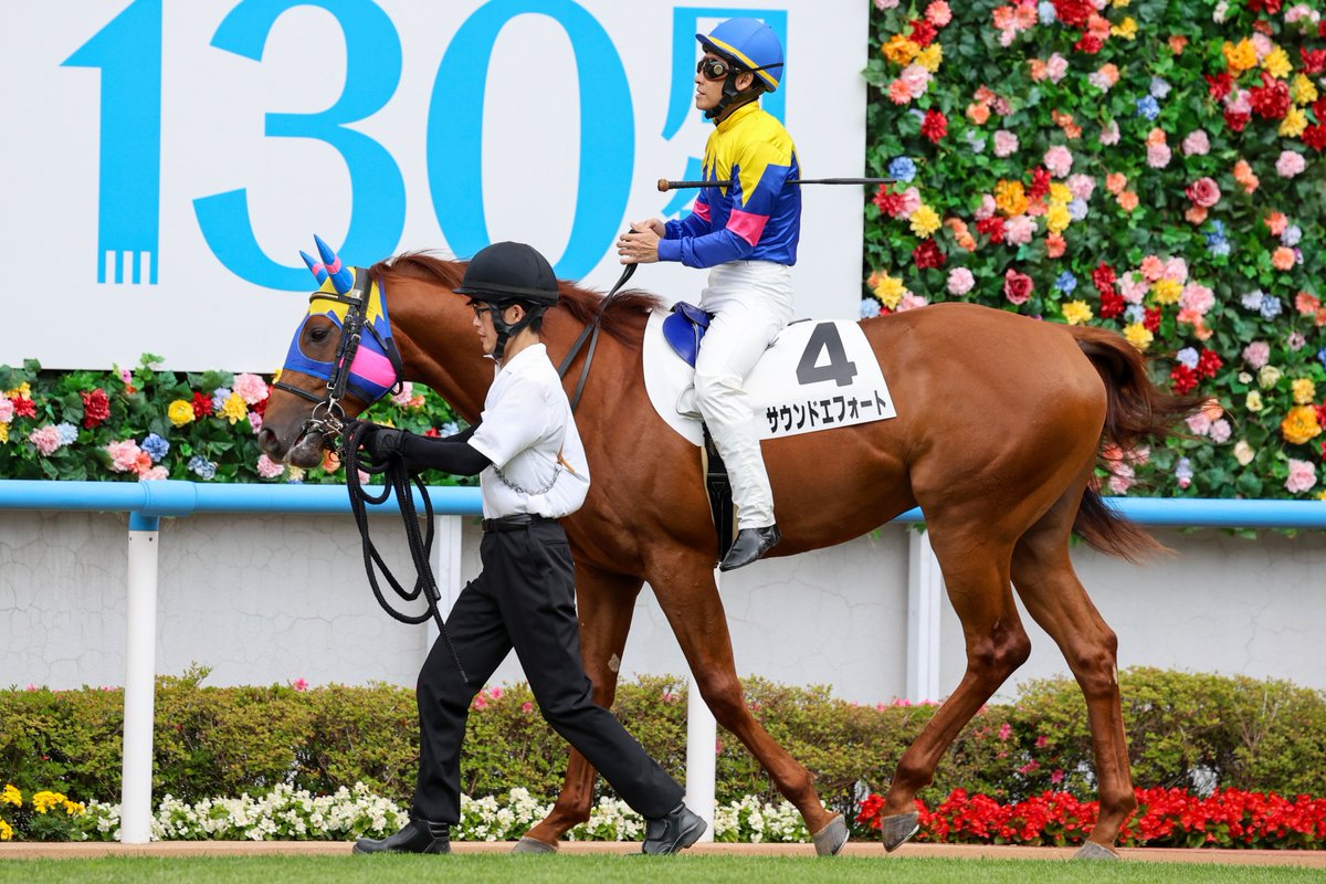 mint_chestnut's tweet photo. 2026/6/27 函館5R 2歳新馬
#サウンドエフォート
父 #ヘニーヒューズ
母 #ハートアンドハート
母父 #ハーツクライ
#安達昭夫 厩舎
馬主 #増田雄一
生産 #三嶋牧場
#吉田隼人 騎手 https://t.co/lywANd08fR