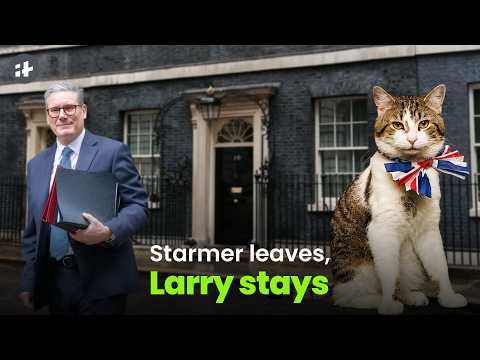 Furry_Refuge's tweet photo. The unfazed Larry the cat outlasts yet another British PM as Starmer resigns >> https://t.co/B4pHHyj0de 
 Original post written by Ahmar Wolf https://t.co/va3hoUGgem