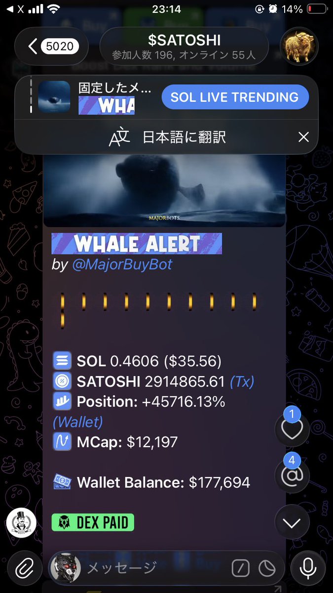 XERsolana's tweet photo. 🐋 https://t.co/KMlHop6FiM