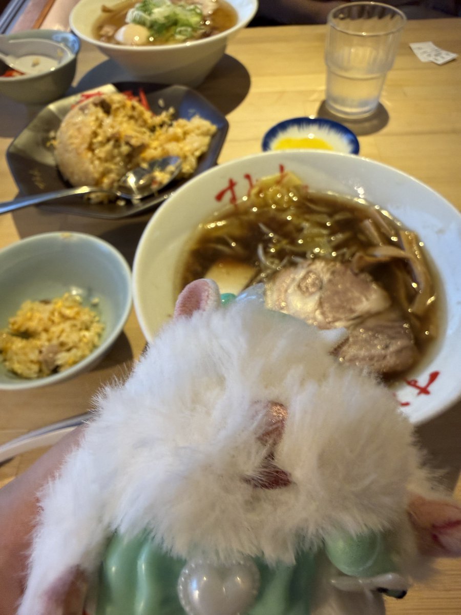 nana_rep_'s tweet photo. ちびっふぃー東京の家に届きっぱなしだからはむにぎり連れ回した🐹💨 https://t.co/yb9ehSGU5c