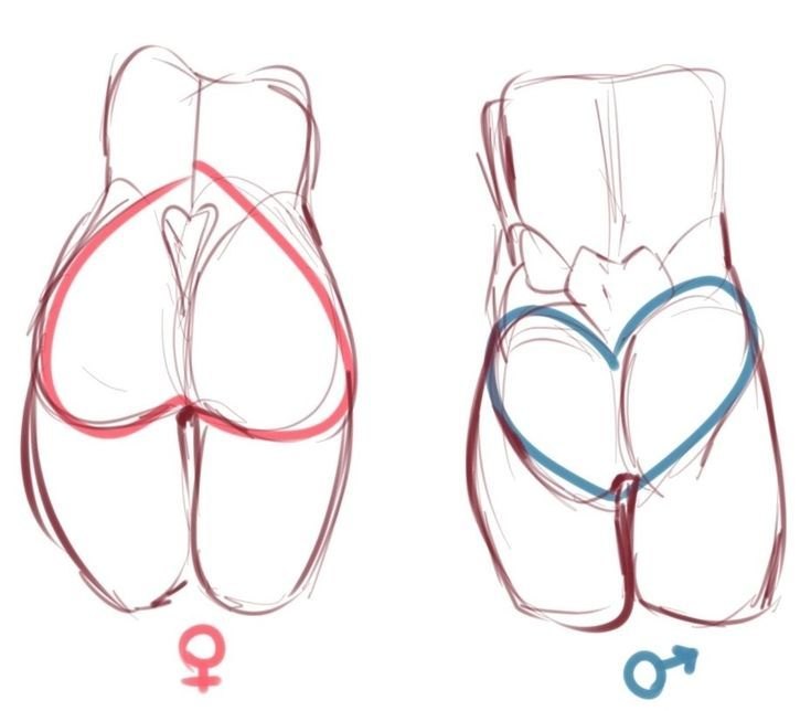 pinkubeauty's tweet photo. The difference isn't just proportions
It's structure. https://t.co/1QTMqtij0T