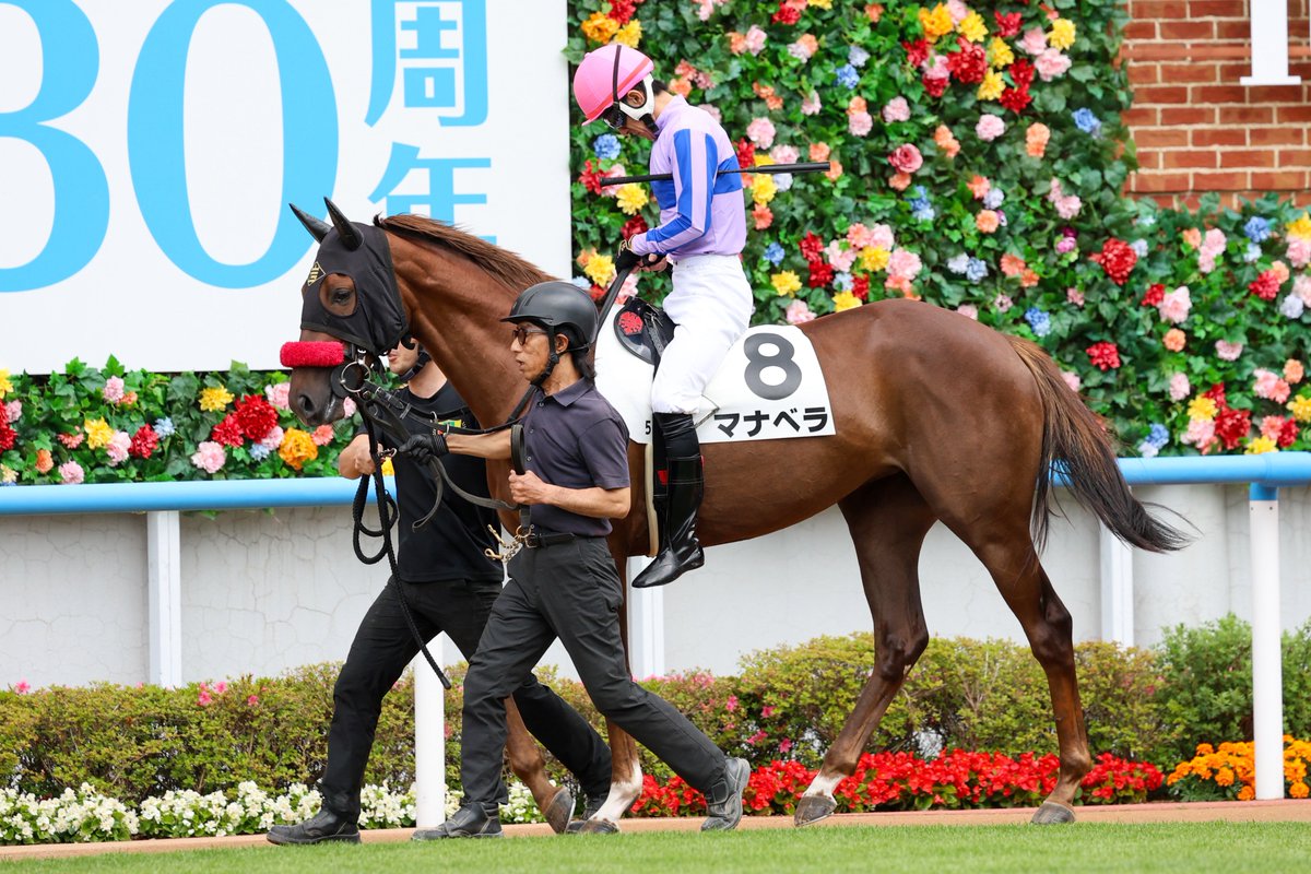 mint_chestnut's tweet photo. 2026/6/27 函館5R 2歳新馬
#マナベラ
父 #フィレンツェファイア
母 #ピカブー
母父 #スクリーンヒーロー
#岩戸孝樹 厩舎
馬主 #ディアレストクラブ
生産 #ケイズ
#丹内祐次 騎手 https://t.co/m52JlprT19