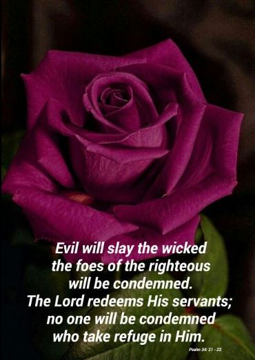 SeekTruth30's tweet photo. Have faith and hope in God only.  Have a blessed Sunday! (Ps.34:21-22) https://t.co/ehgCoDfLfq