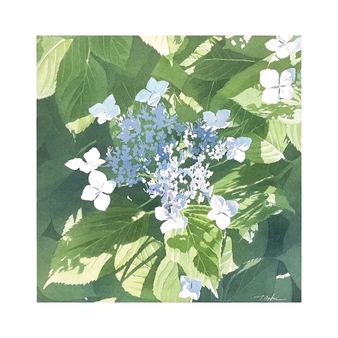 tr_watercolor's tweet photo. 今月7月14日(火)より日本透明水彩会(JWS)札幌展が開催されます！
私も作品2点と小品1点を展示します。

お近くの際はぜひご高覧いただけますと幸いです。 https://t.co/rRlFSmmp3d