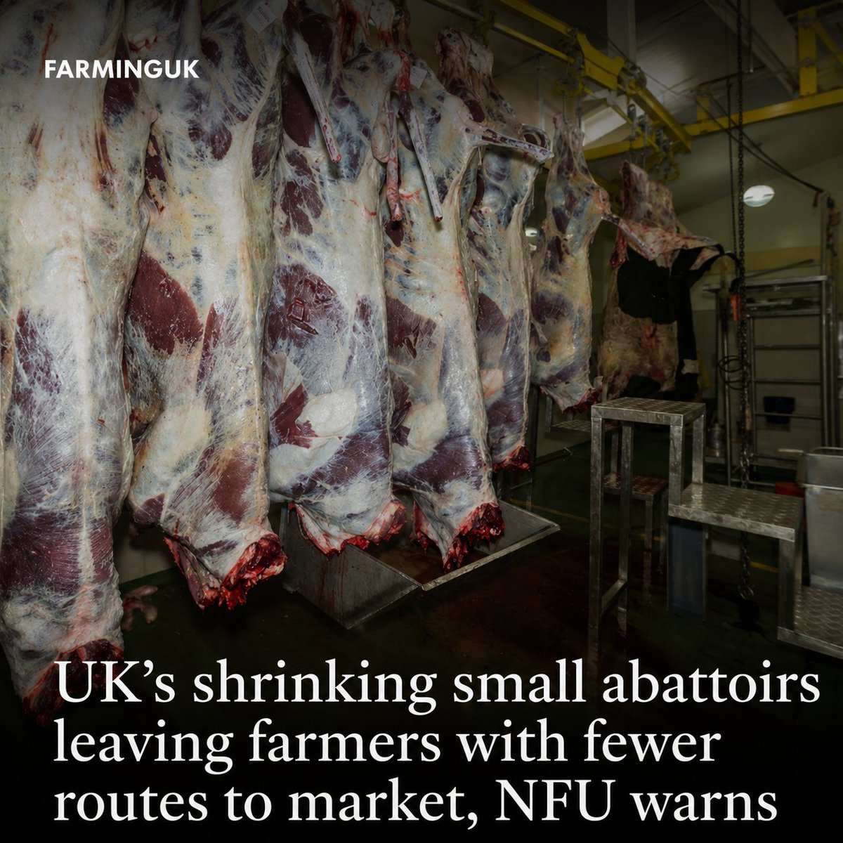 FarmingUK's tweet photo. 🚨 The UK's small and medium-sized abattoirs are facing rising costs, tougher regulation and increasing pressure

READ MORE: https://t.co/yQuSVpyPju https://t.co/2Ft4aKUoSS