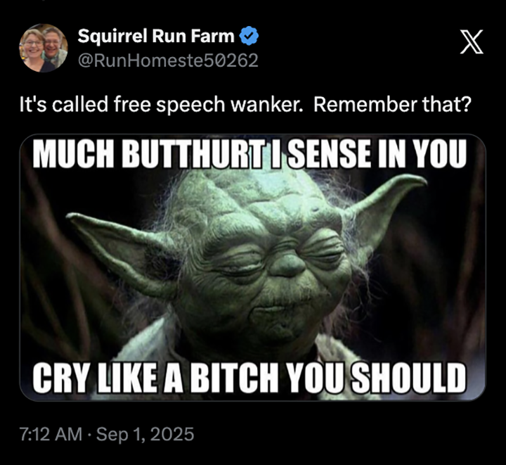 Blue Georgia tweet media