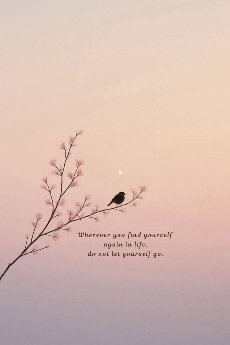 MQUOTESLIFE's tweet photo. https://t.co/d0e2LSAOYw