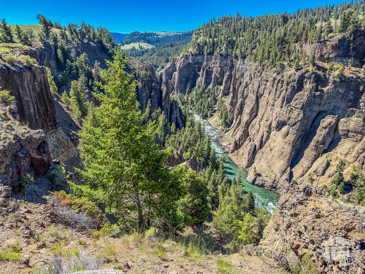 wander_filled's tweet photo. It doesn’t take much to get amazing views in Yellowstone. You can be staggered by without even leaving your car. But for those that do get out of their car, just a few miles on the trail will open up a whole different park! 

#WanderFilled #FindYourPark #ThatsWY #yellowstone https://t.co/AG7Dp4IufF