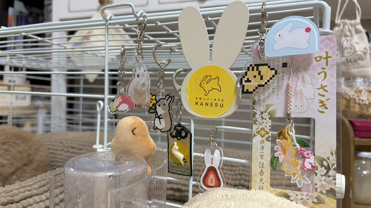 norisuke_usa's tweet photo. のりすけキーホルダーいっぱい持ってるね🐰
#うさぎ
#ネザーランドドワーフ https://t.co/fUBS805ZKP