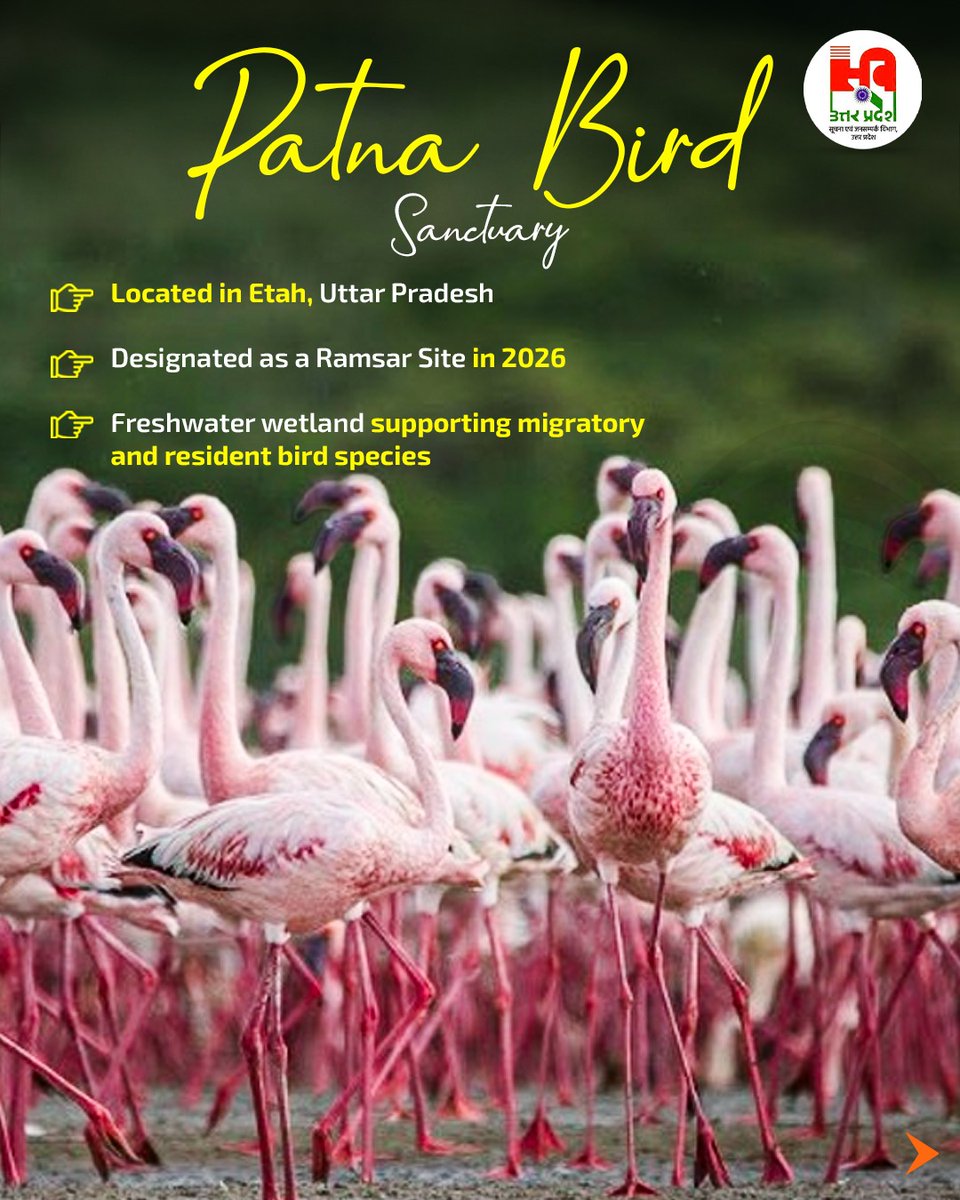 InfoDeptUP's tweet photo. Wetlands are lifelines that sustain biodiversity, support migratory birds and strengthen ecological balance. Uttar Pradesh continues to protect these vital ecosystems through its growing network of Ramsar Sites. https://t.co/H5yNmW94vN