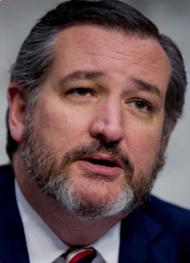 Real_Turley's tweet photo. Ted Cruz was highly criticized on (Jan-3rd) for objecting to the certification of the 2020 election by Rinos in the Senate

Cruz stood with us then, we need him to do the same when he Chairs the rules committee in McConnell's absence https://t.co/DdBsE4b8qq