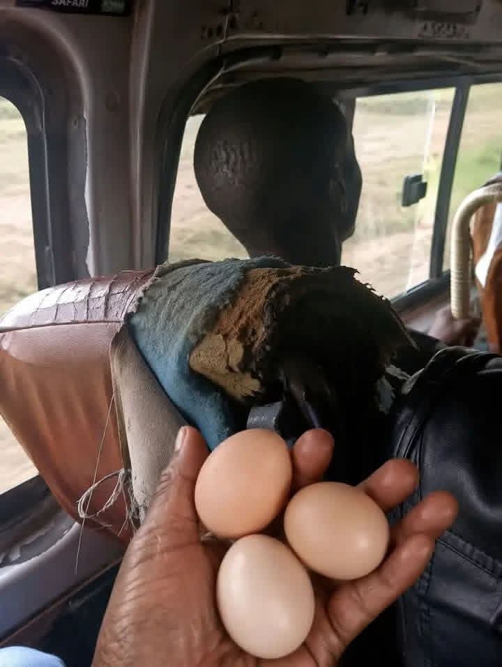 justWailer's tweet photo. Sijui kama bwana conductor atakubali nauli yangu💔😂 https://t.co/oEaaZCN4Nl