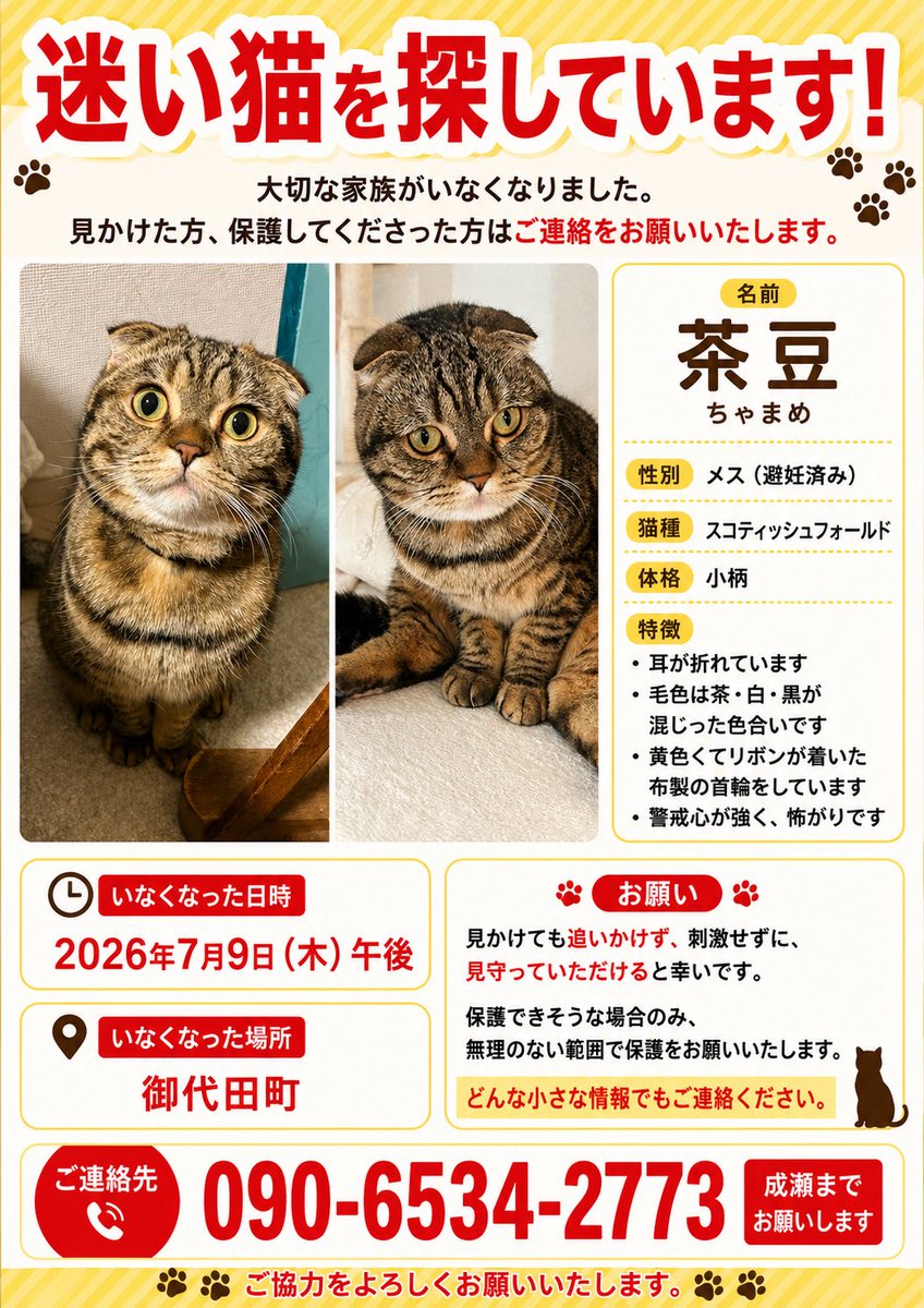 maigo_chamame's tweet photo. 7月12日(日)20時頃、茶豆を再び自宅敷地内で再び目視することができました。

まだ捕獲には至っておりませんが、また姿を見せてくれたことに安心するとともに、出てきてくれた茶豆の勇気に感謝しています。

引き続きよろしくお願いいたします🙇‍♀️

 #迷い猫 #御代田町  #猫探してます https://t.co/DJq32o8mHX