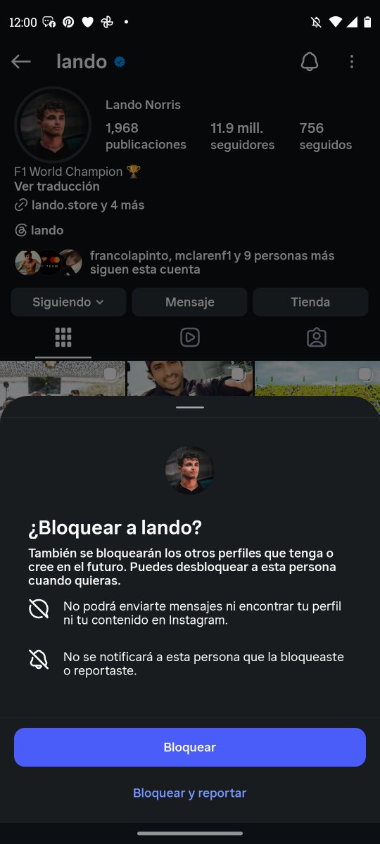 iara elizondo tweet media