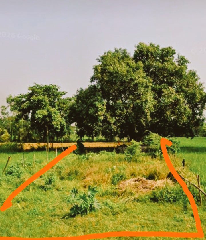 Mahendra_R97's tweet photo. उन्नाव - नगर पंचायत न्योतनी पूरब हार (परगना) मोहान तहसील व थाना हसनगंज की सरकारी जमीन पर हो रहा अवैध कब्जा जिम्मेदार अधिकारियों को एक सप्ताह पूर्व सिकायती पत्र देने के बावजूद भी कार्रवाई सून्य।
@dmunnao @SPUNNAO1 @Igrangelucknow @unnaopolice @Uppolice @UPGovt  @myogiadityanath https://t.co/oMuDfUhZMZ