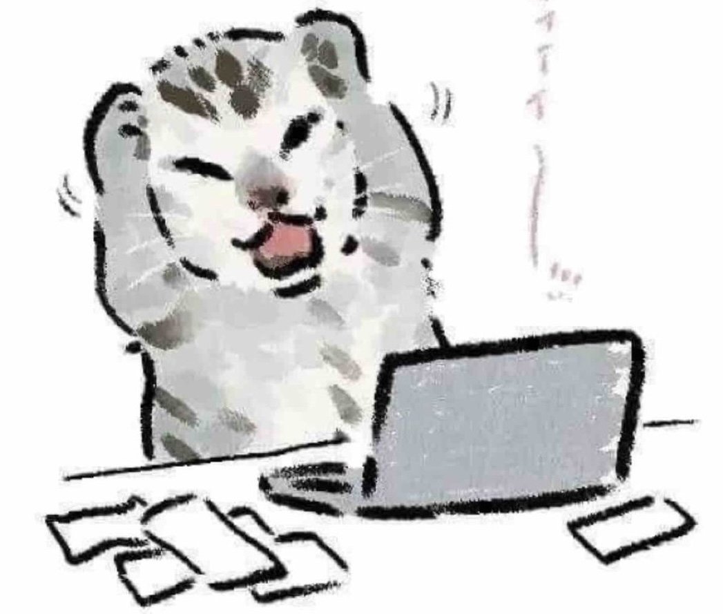 shafan 莎梵🍓 tweet media